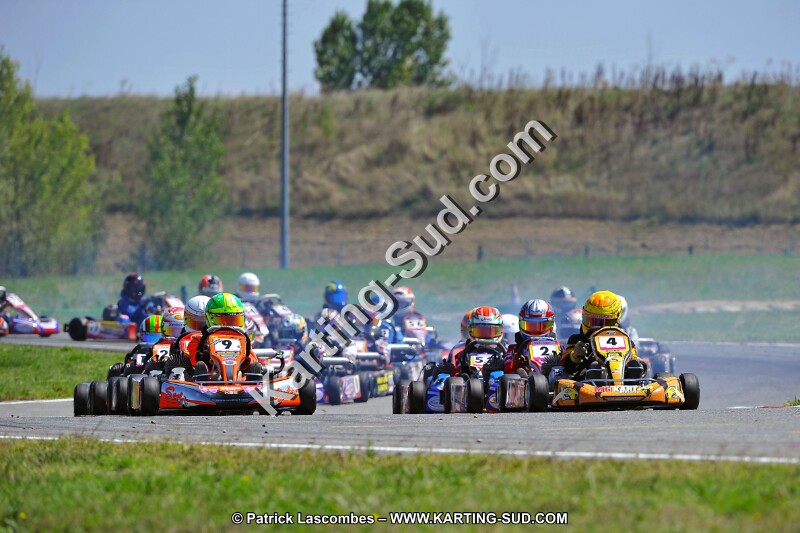 DSC_ (1426).jpg